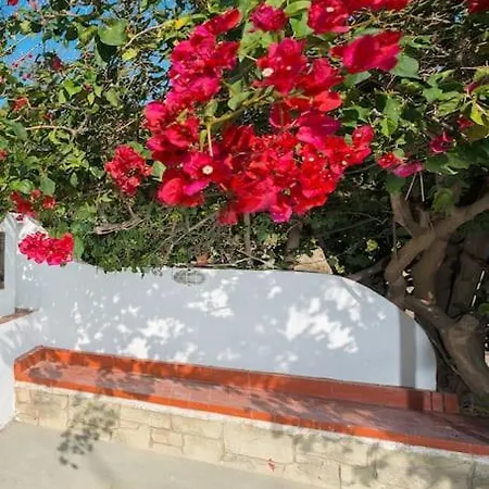 Greek Style Ground Floor Apartment & Pool Ialysos  Exterior photo