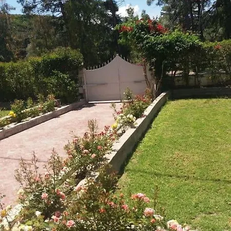 Greek Style Ground Floor Apartment & Pool Ialysos  Exterior photo