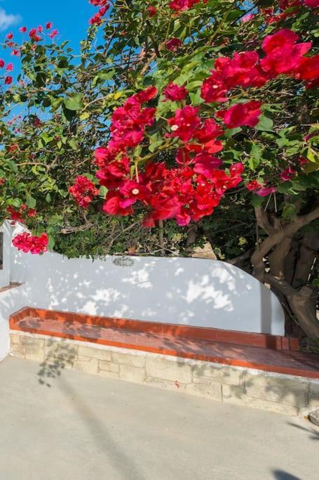 Apartment Greek Style Ground Floor & Pool Ialysos (Rhodes)