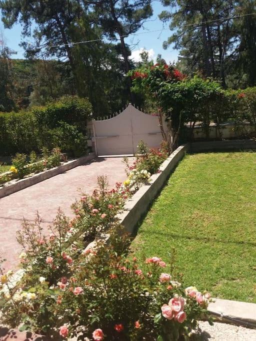 Apartment Greek Style Ground Floor & Pool Ialysos (Rhodes)