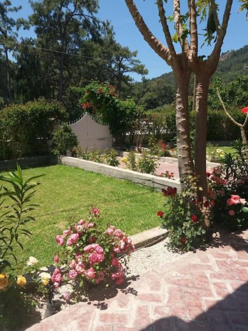 Apartment Greek Style Ground Floor & Pool Ialysos (Rhodes)