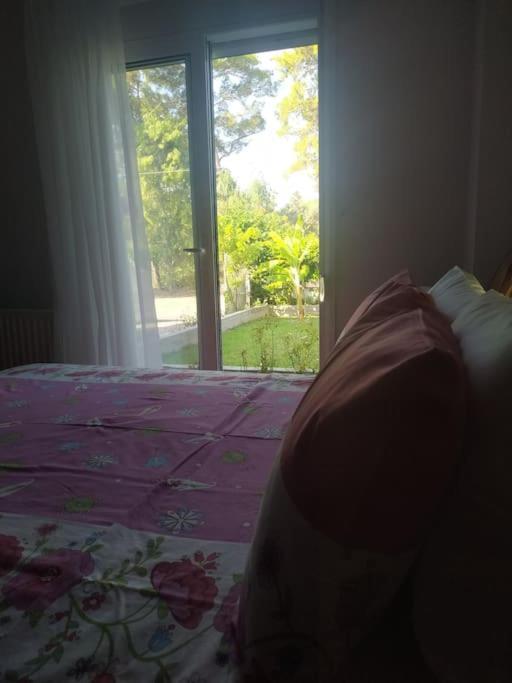 Apartment Greek Style Ground Floor & Pool Ialysos (Rhodes)