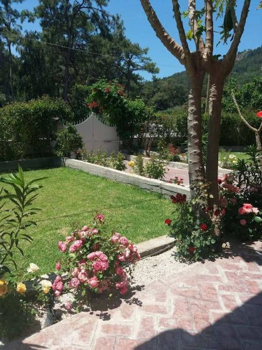 Greek Style Ground Floor & Pool