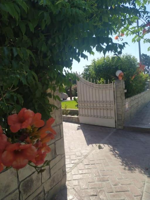 Apartmán Greek Style Ground Floor & Pool Ialysos (Rhodes)