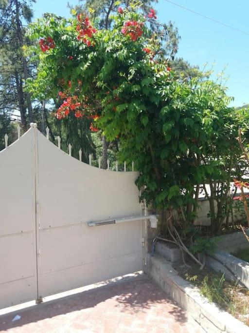 Greek Style Ground Floor & Pool Apartment *